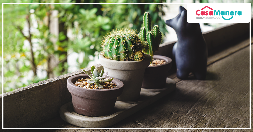 Mude um ambiente só com plantas!